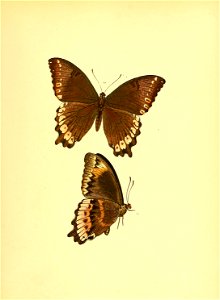 n122_w1150