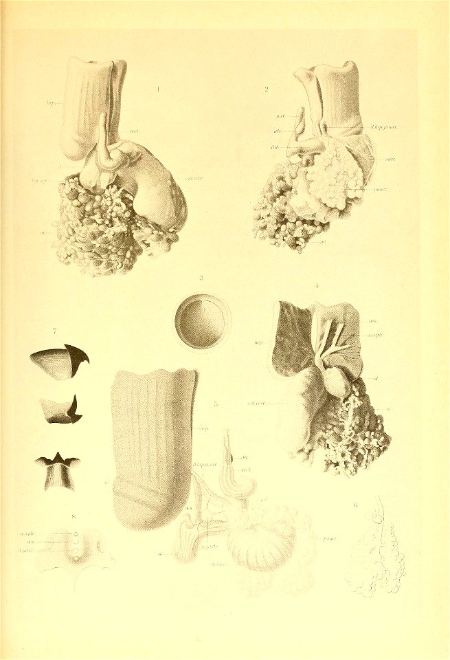 n180_w1150