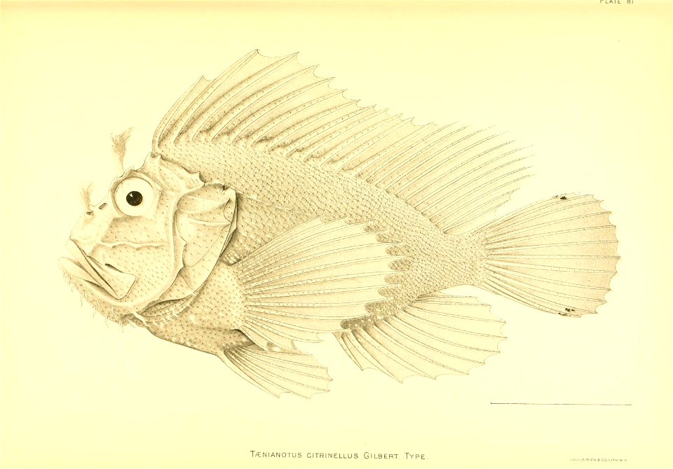 n104_w1150