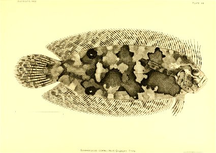 n180_w1150