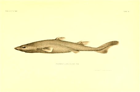 n18_w1150