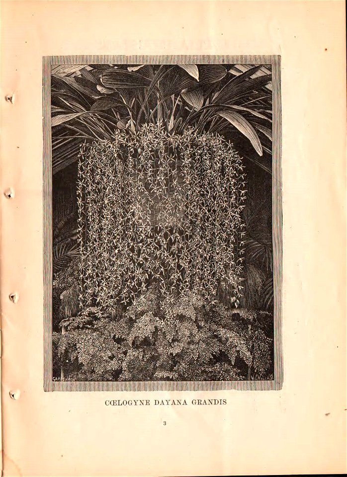n4_w1150