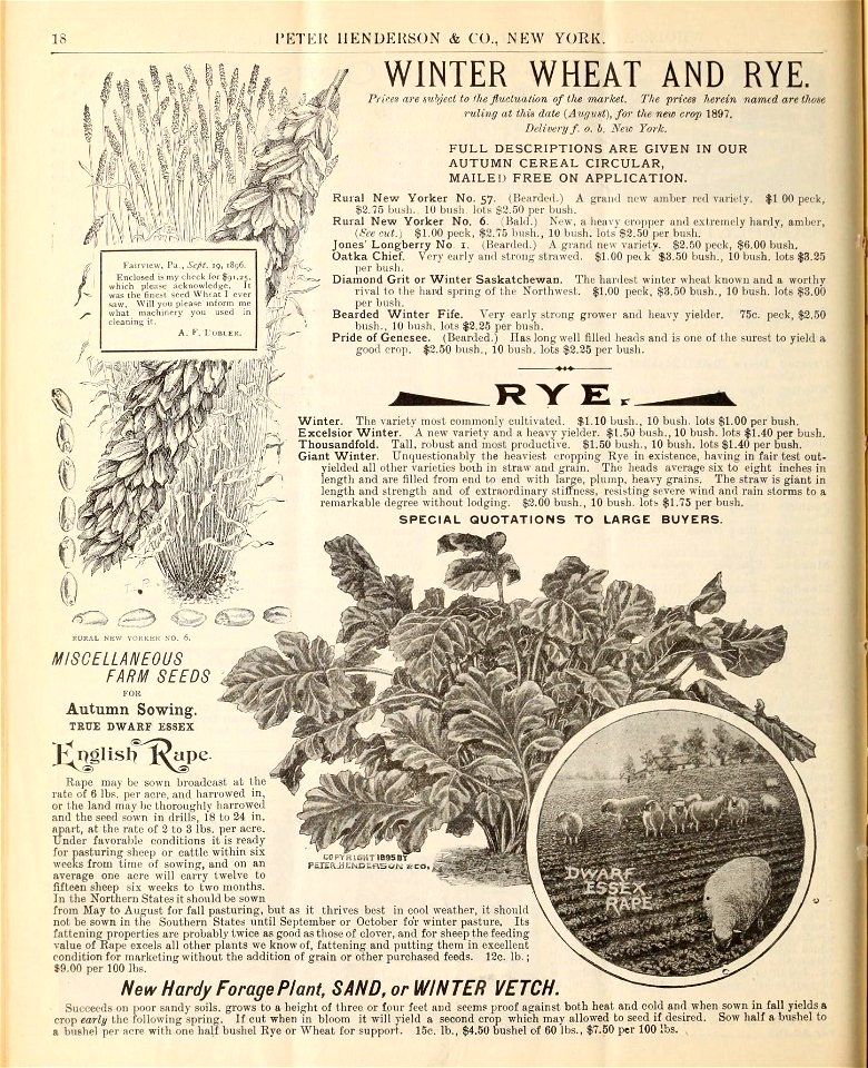 n69_w1150