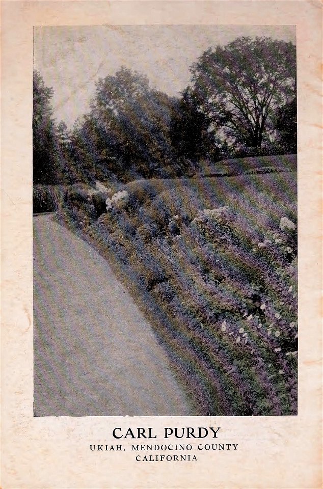 n19_w1150