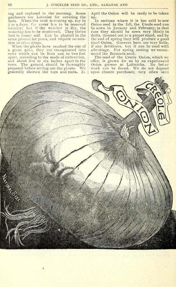 n71_w1150