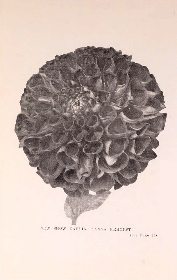 n17_w1150