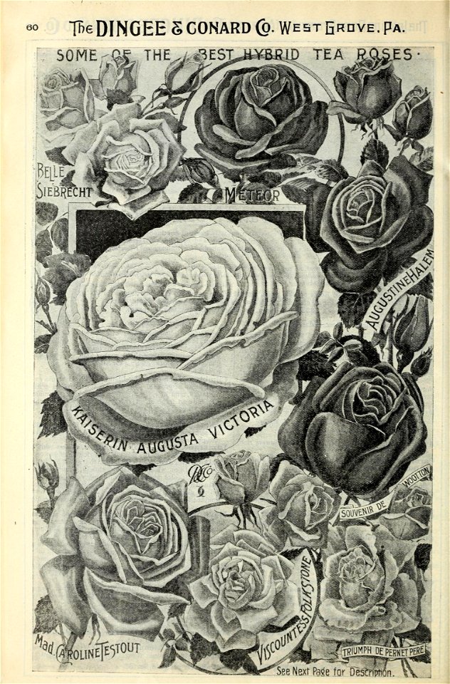 n61_w1150