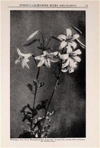 n18_w1150