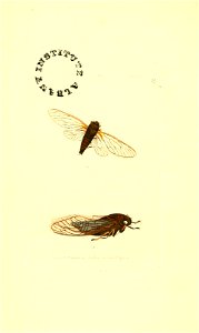 n171_w1150