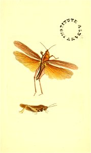 n108_w1150