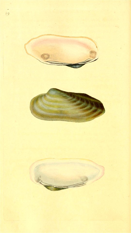 n437_w1150