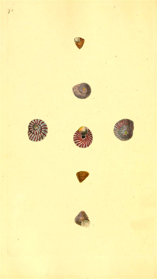 n373_w1150