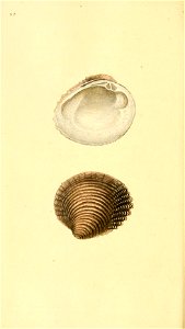 n229_w1150