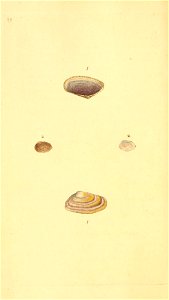 n151_w1150