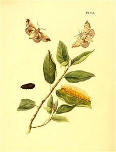 n577_w1150