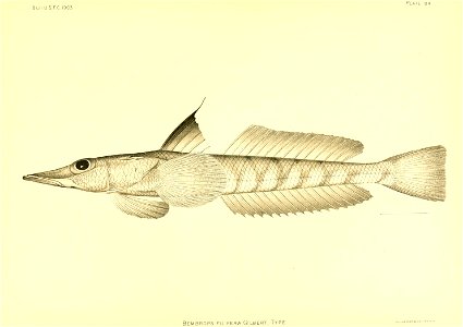n118_w1150