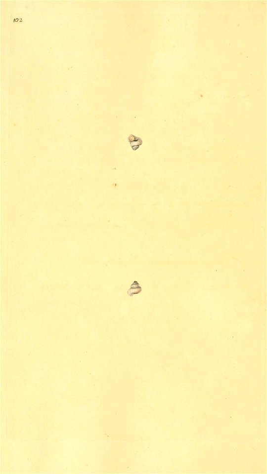 n491_w1150