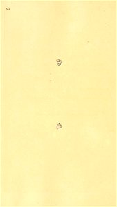 n491_w1150