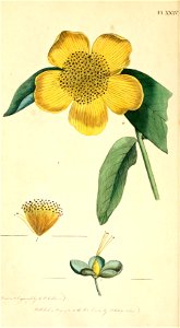 n105_w1150