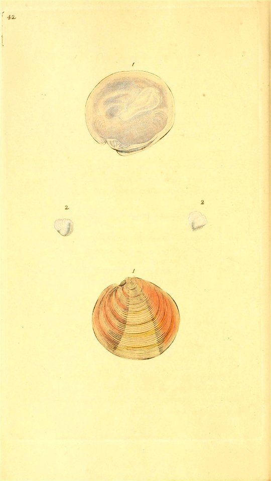 n221_w1150