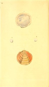 n221_w1150