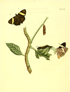 n629_w1150