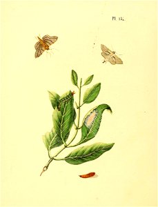 n569_w1150