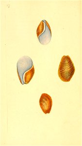 n143_w1150