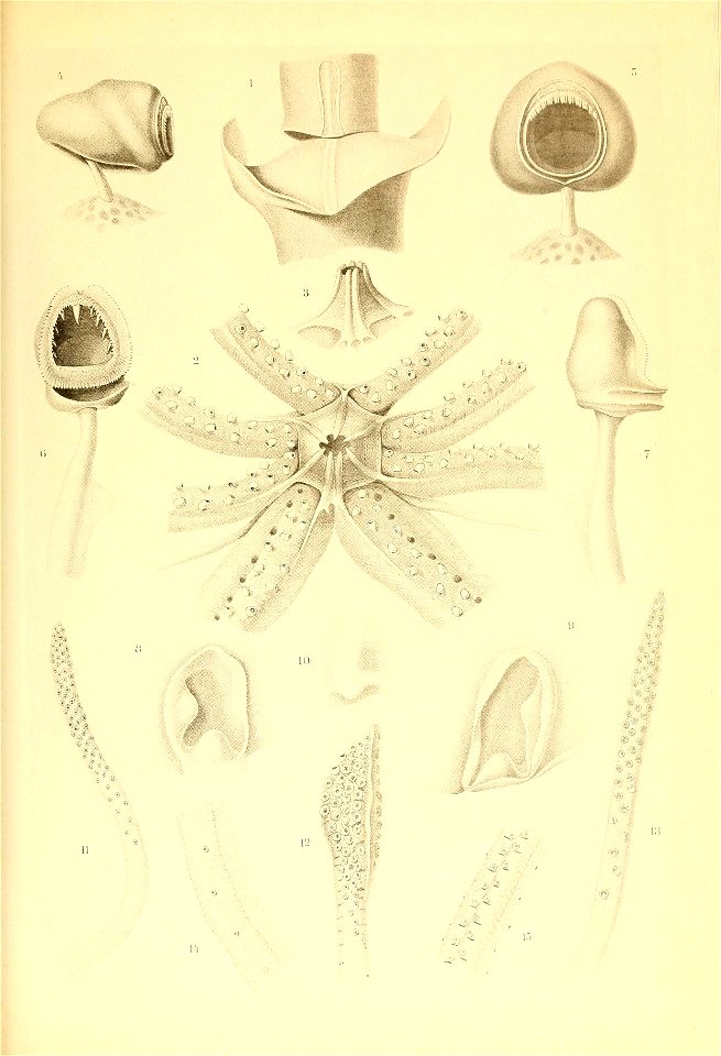 n102_w1150