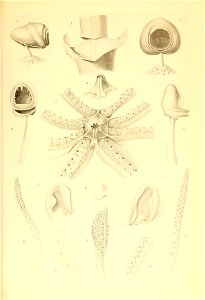 n102_w1150