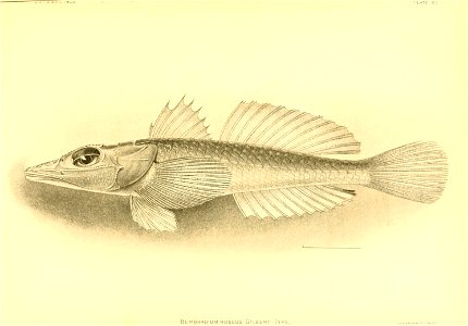 n108_w1150