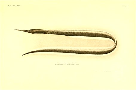 n26_w1150