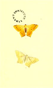n154_w1150