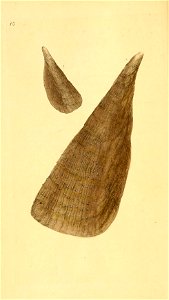 n69_w1150