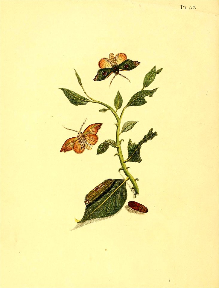 n501_w1150