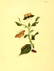 n501_w1150