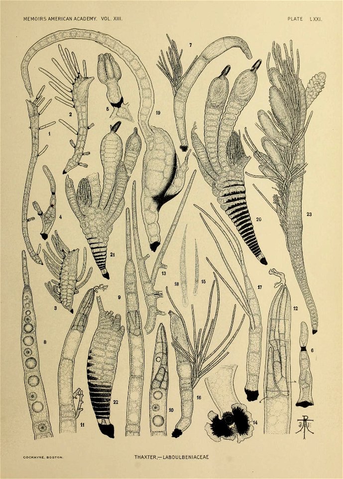 n348_w1150