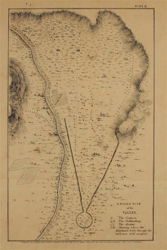 n304_w1150