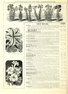 n43_w1150