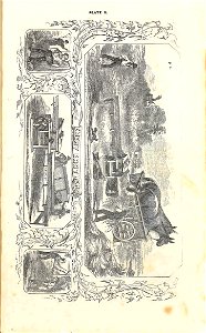 n4_w1150