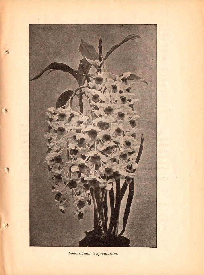 n8_w1150