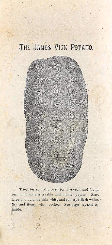 n43_w1150