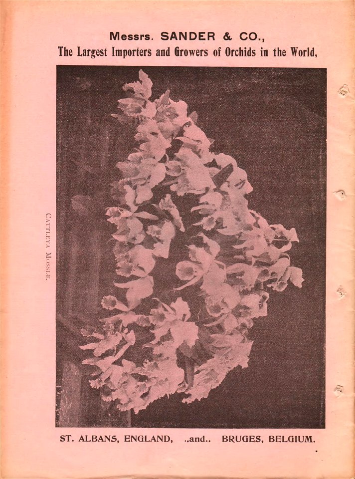 n31_w1150