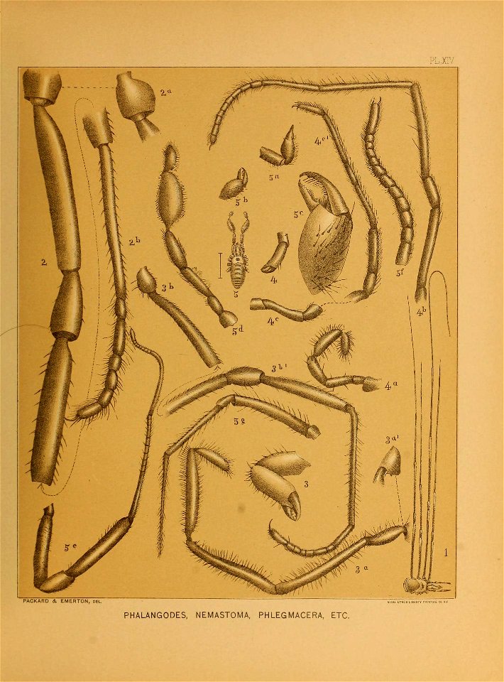 n194_w1150