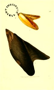 n166_w1150