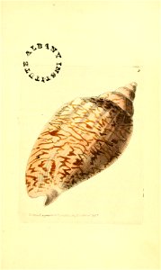 n44_w1150