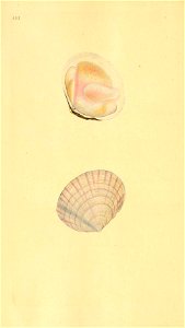 n495_w1150