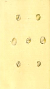 n433_w1150