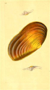 n291_w1150