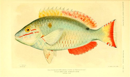 n58_w1150